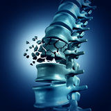 Spinal Fractures